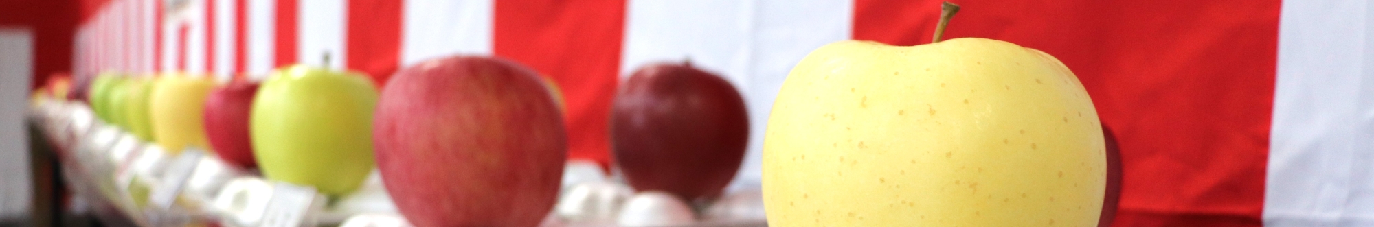 株式会社　津軽りんご市場