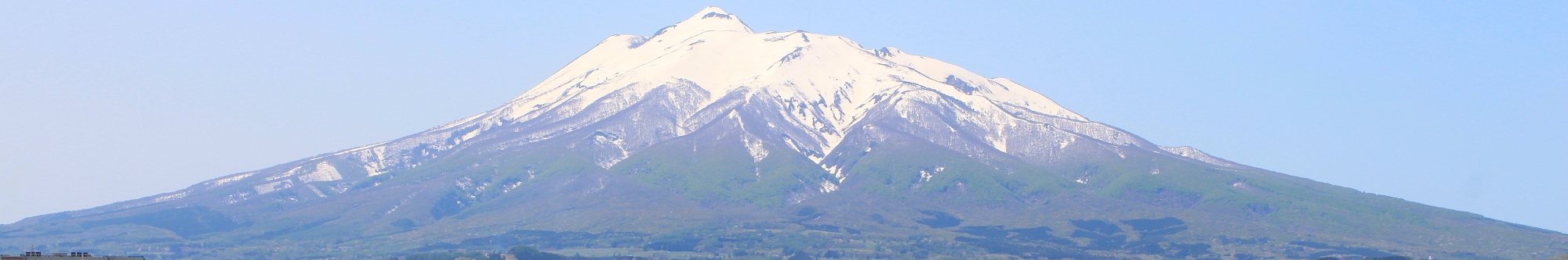 株式会社　津軽りんご市場