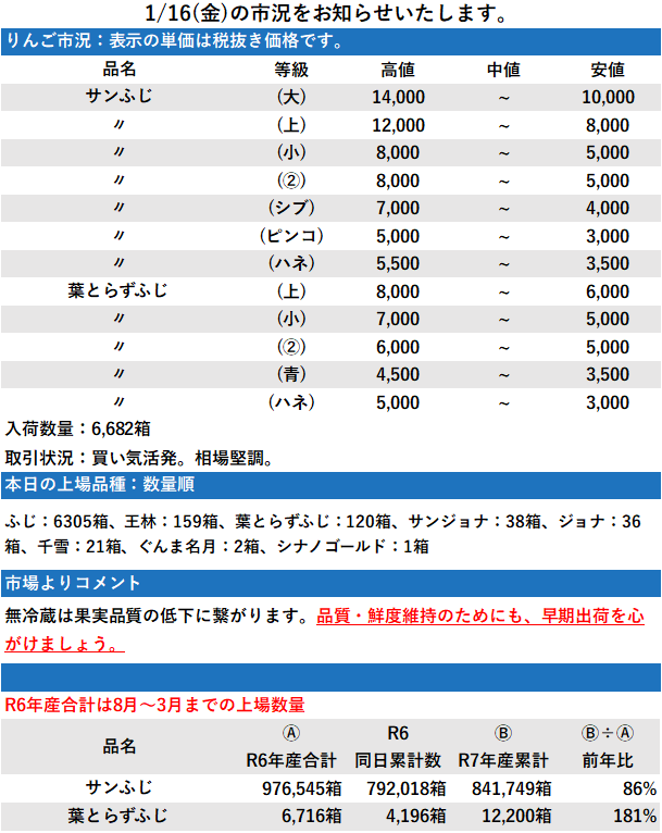 1/16 市況 6,682箱