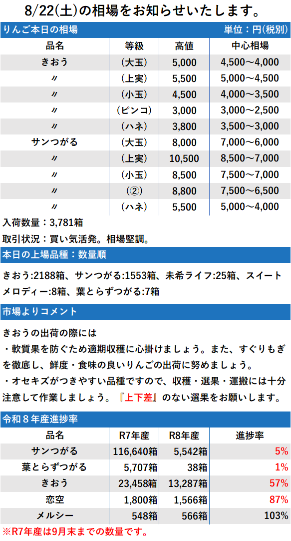 8/22 市況 3,781箱