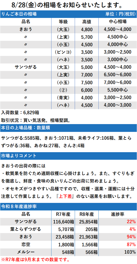 8/28 市況 6,829箱