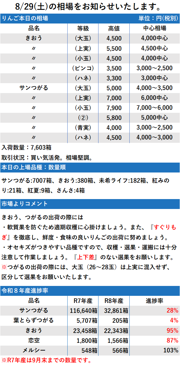 8/29 市況 7,603箱