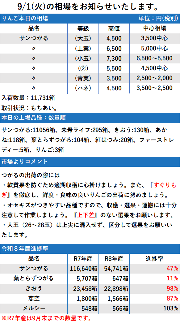 9/1 市況 11,731箱