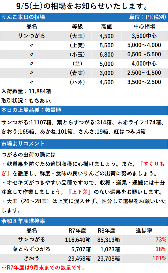 9/5 市況 11,884箱