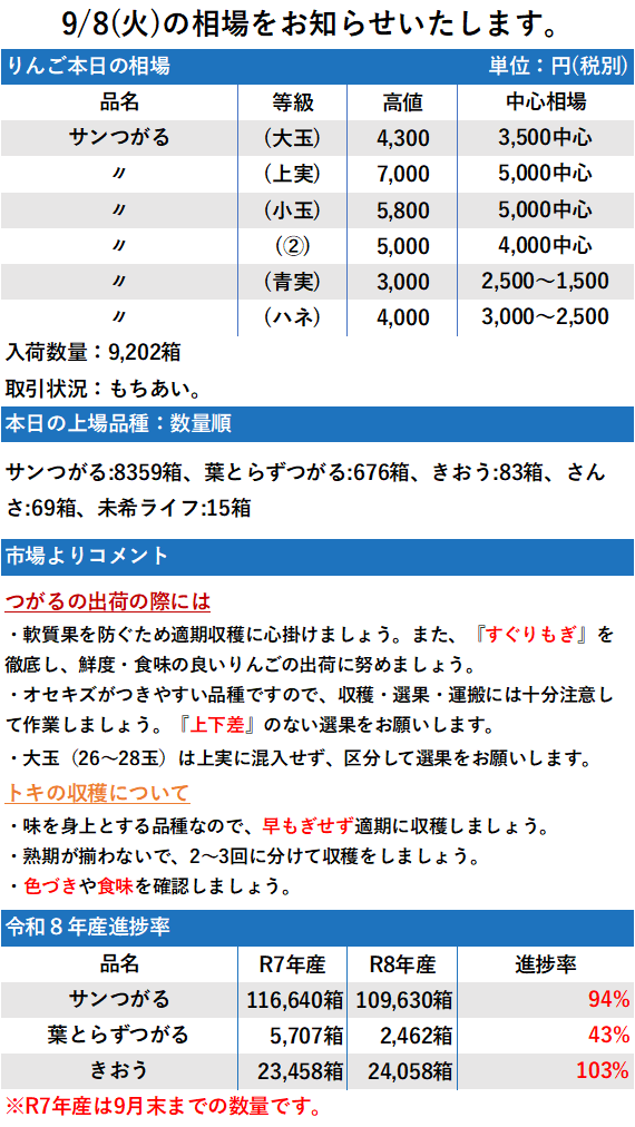 9/8 市況 9,202箱