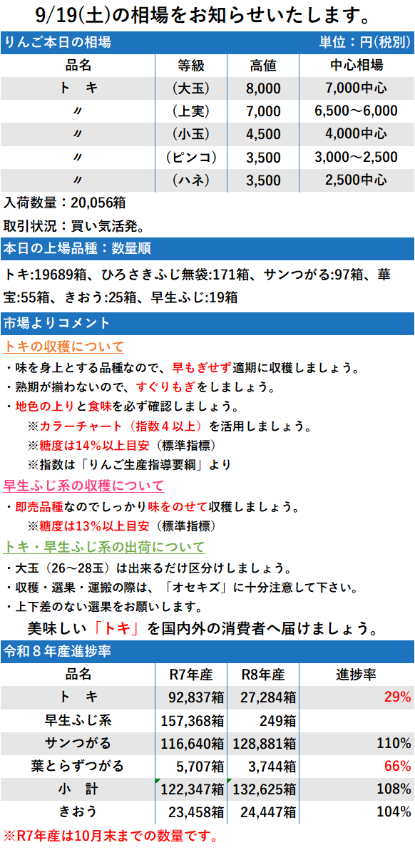 9/19 市況 20,056箱